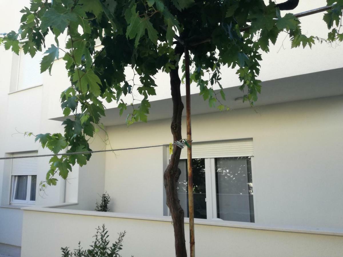 Drosanjica Zadar